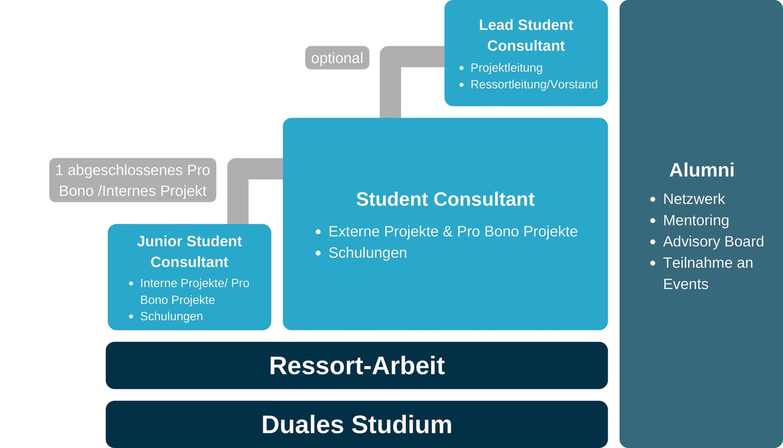 Dein Werdegang bei Dualer Consulting